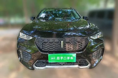 WEY VV7