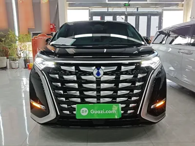 Denza D9