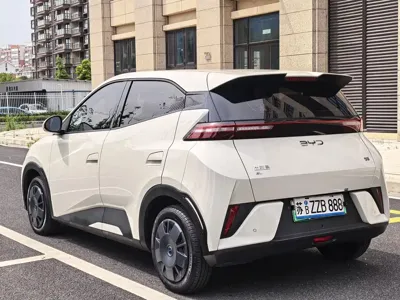 BYD Seagull