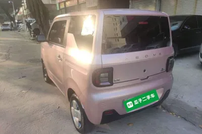 Geely Galaxy Panda