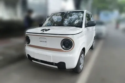 Geely Galaxy Panda