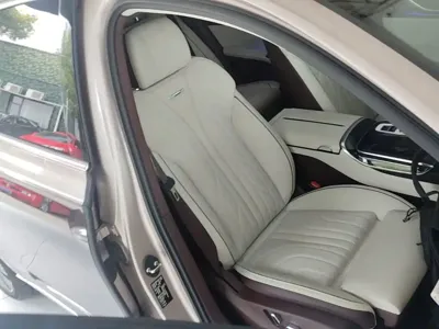 Hongqi Hongqi H9