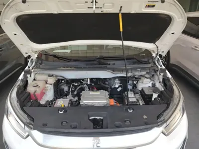 BYD Yuan Pro