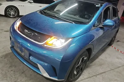 BYD Dolphin