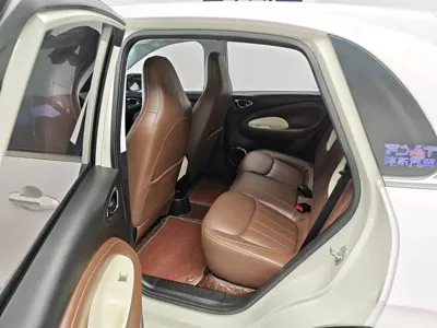 Wuling Bingo