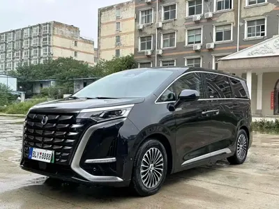 Denza Denza D9