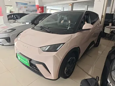 BYD Seagull