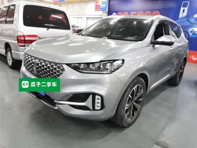 WEY Wey VV6