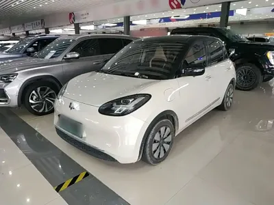 Wuling Bingo