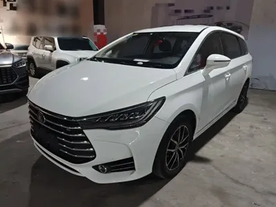 BYD MAX