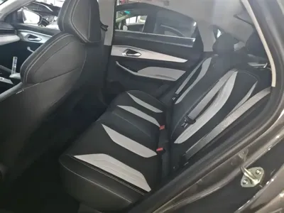 Geely Binrui