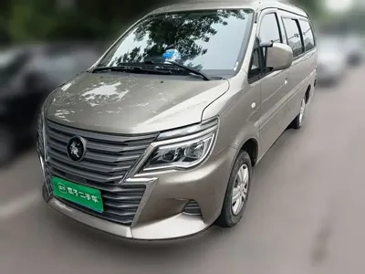 Fengxing Lingzhi