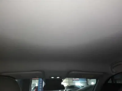 NETA Neta V
