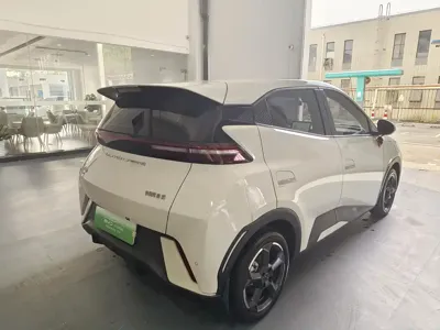 BYD Seagull
