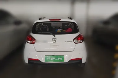 Baojun 310