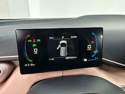 BYD Seagull