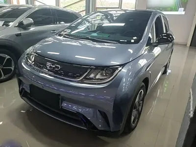 BYD Dolphin