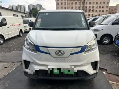大通 EV30