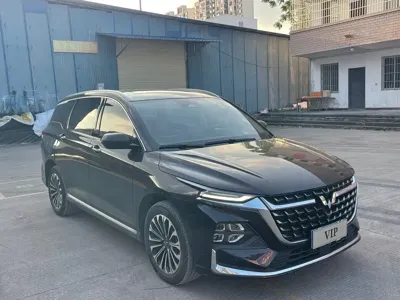 Wuling Victory
