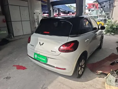 Wuling Bingo