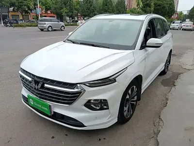 Wuling Victory