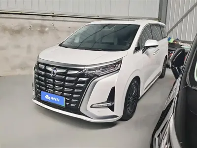 Denza Denza D9