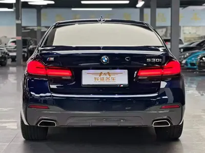 BMW 5 Series (Import)