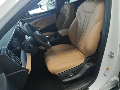 BYD L DM-i