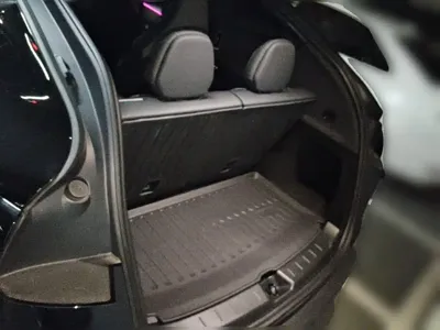 Tesla Model Y L