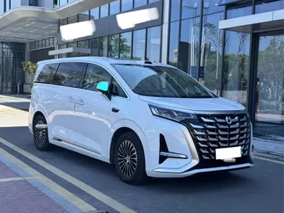 Denza Denza D9