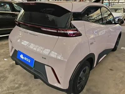 BYD Seagull