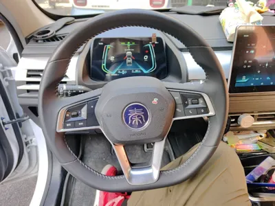 BYD Qin Pro New Energy