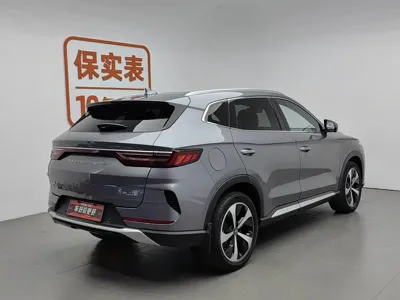 BYD PLUS New Energy