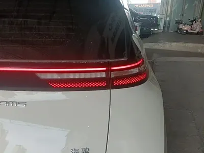 BYD Seagull