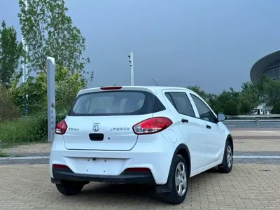 Baojun 310