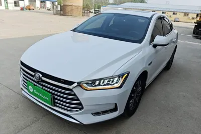BYD Qin Pro New Energy