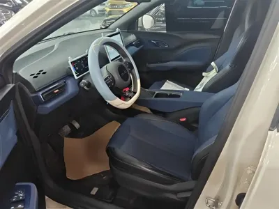 BYD Seagull