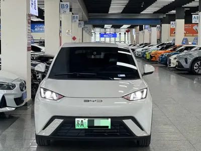 BYD Seagull