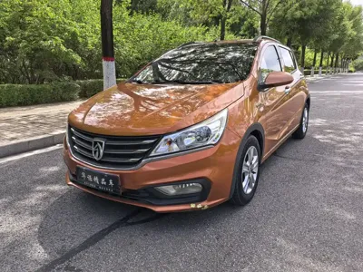 Baojun 310