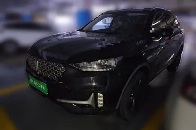 WEY VV6