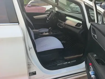 BYD MAX