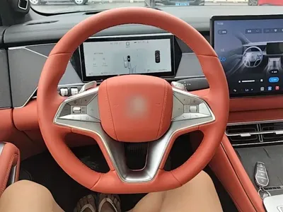 BYD 唐L