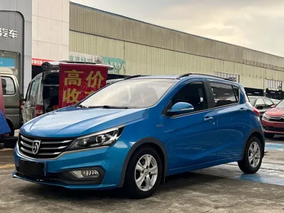 Baojun 310