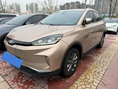 WM Motor EX5