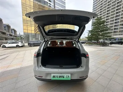 Leapmotor Leapmotor C10