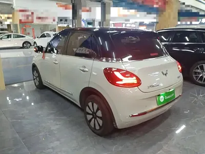 Wuling Bingo