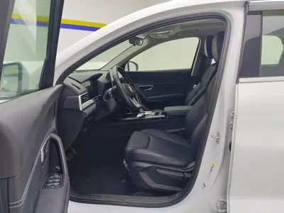BYD Pro