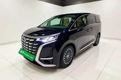 Denza D9