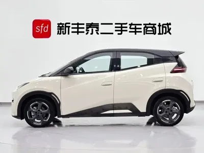 BYD Seagull
