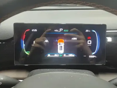 BYD Pro New Energy